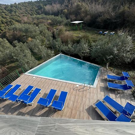 Qyteza Guest House & Camping Shkodër Eksteriør bilde