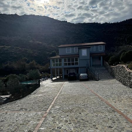 Qyteza Guest House & Camping Shkodër Eksteriør bilde
