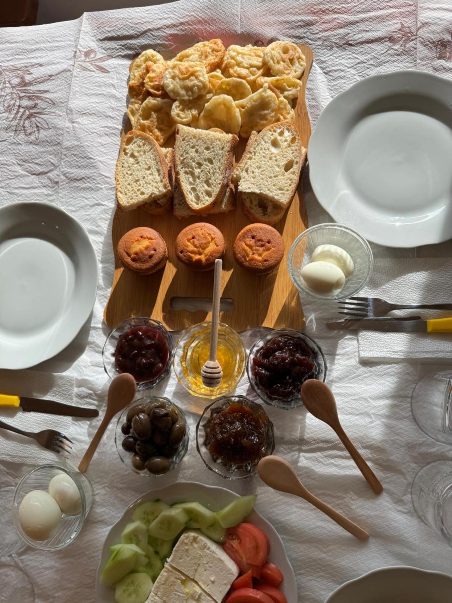 Qyteza Guest House & Camping Shkodër Eksteriør bilde