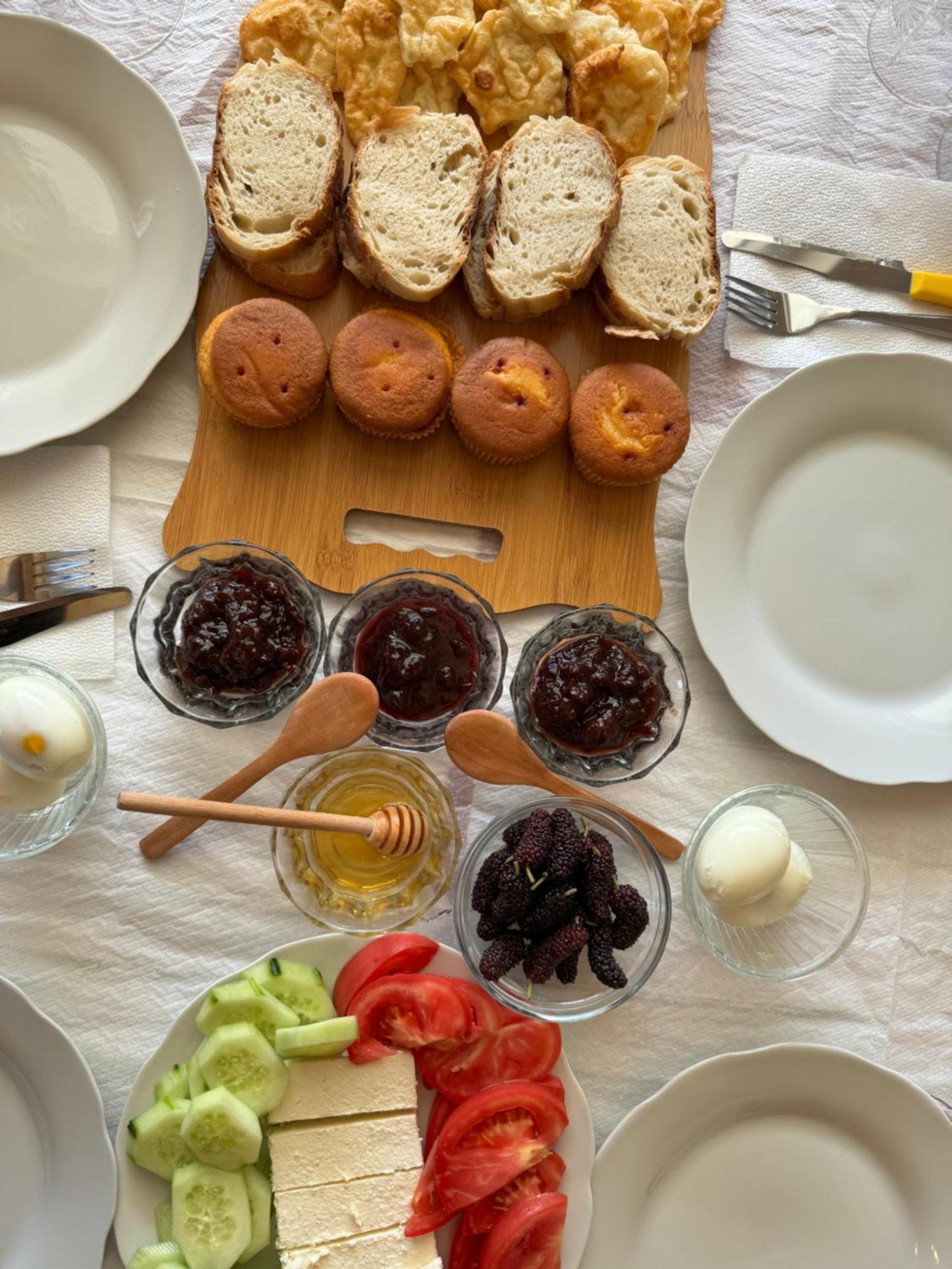 Qyteza Guest House & Camping Shkodër Eksteriør bilde