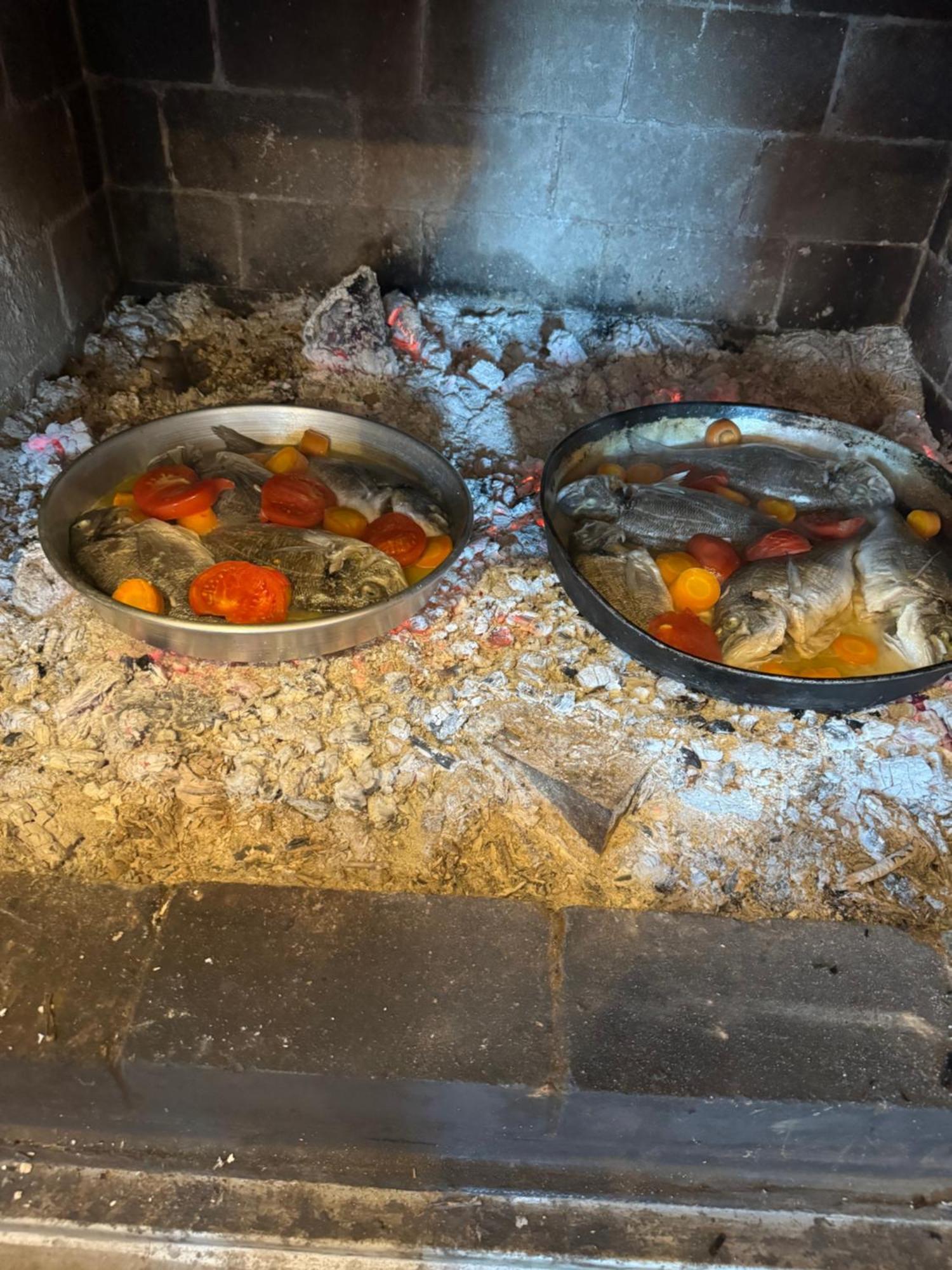 Qyteza Guest House & Camping Shkodër Eksteriør bilde