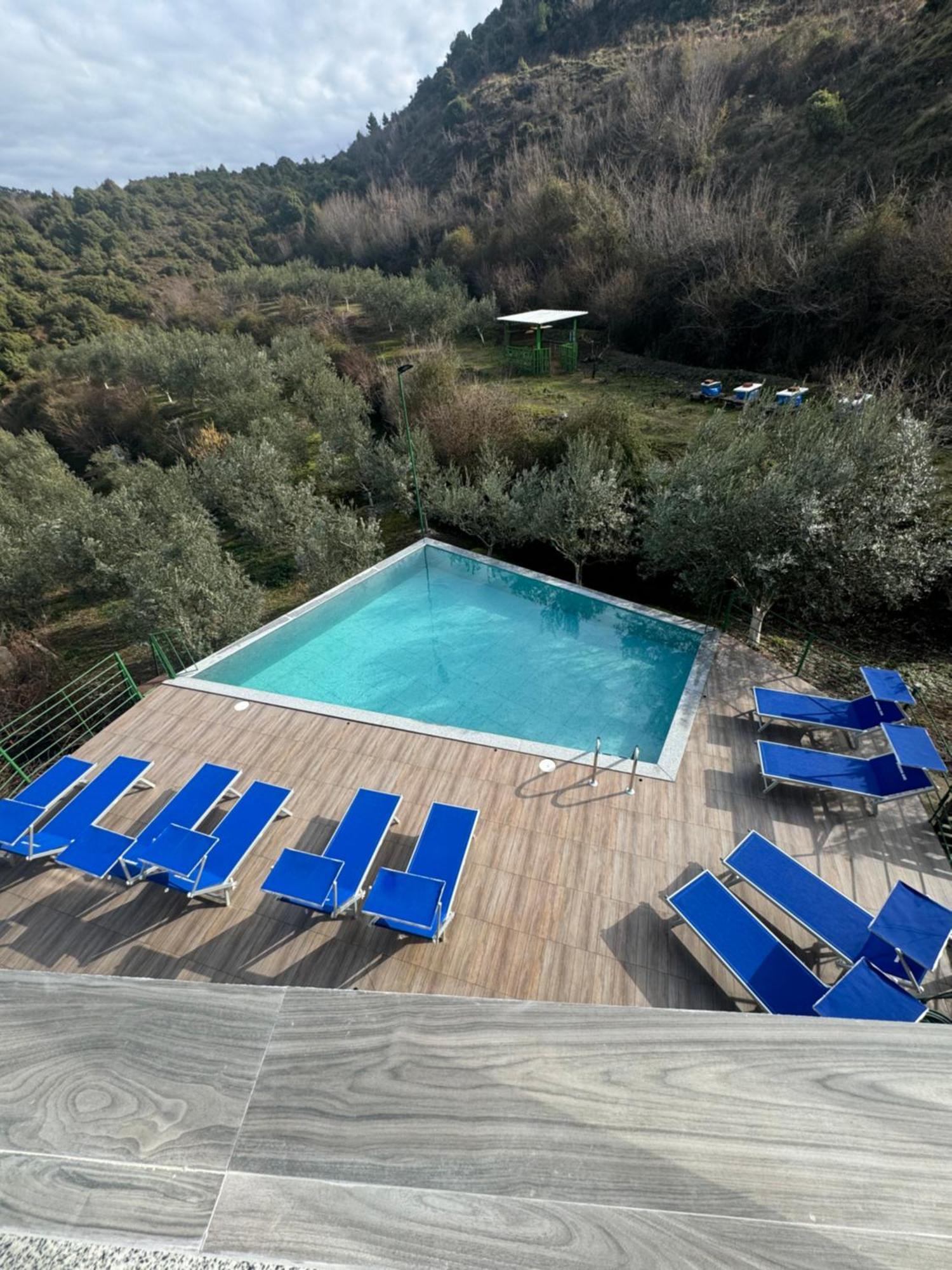 Qyteza Guest House & Camping Shkodër Eksteriør bilde